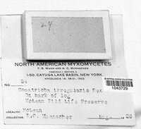Image Associated With the Occurence